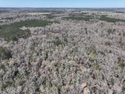 Excellent Hunting / Recreational Property - image 9