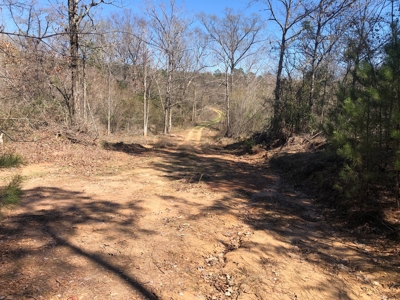 Excellent Hunting / Recreational Property - image 4