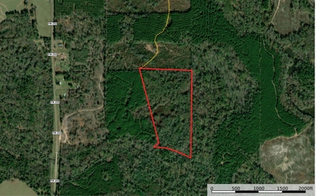 Excellent Hunting / Recreational Property - image 1