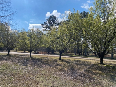 3 Bedroom Home In Selmer, Tn For Sale. Home In Neighborhood - image 12