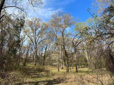 East Texas Land for Sale Lindale Smith County Texas - image 6