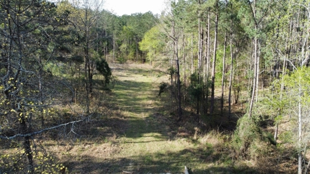 East Texas Land for Sale Lindale Smith County Texas - image 1