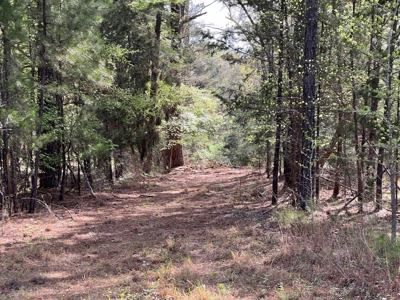 East Texas Land for Sale Lindale Smith County Texas - image 14