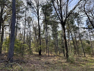 East Texas Land for Sale Lindale Smith County Texas - image 12