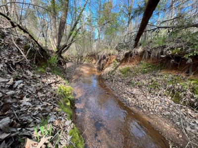 East Texas Land for Sale Lindale Smith County Texas - image 4