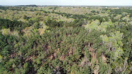 East Texas Land for Sale Lindale Smith County Texas - image 21