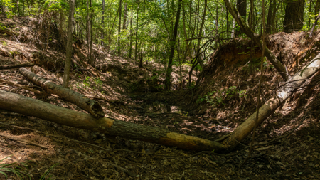 East Texas Land for Sale Lindale Smith County Texas - image 17
