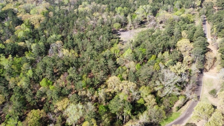 East Texas Land for Sale Lindale Smith County Texas - image 24