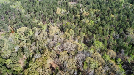 East Texas Land for Sale Lindale Smith County Texas - image 34