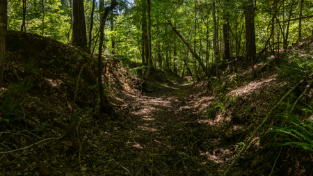 East Texas Land for Sale Lindale Smith County Texas - image 16
