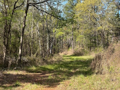 East Texas Land for Sale Lindale Smith County Texas - image 15