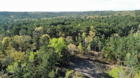 East Texas Land for Sale Lindale Smith County Texas - image 30