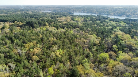 East Texas Land for Sale Lindale Smith County Texas - image 18