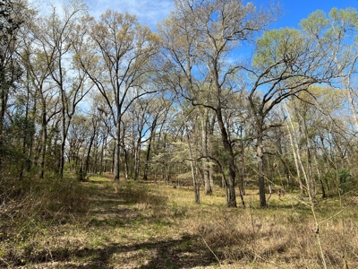 East Texas Land for Sale Lindale Smith County Texas - image 7