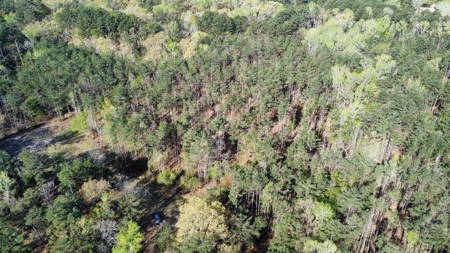 East Texas Land for Sale Lindale Smith County Texas - image 20