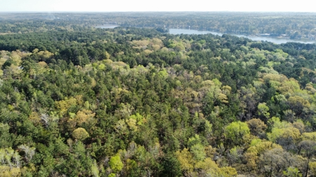 East Texas Land for Sale Lindale Smith County Texas - image 27