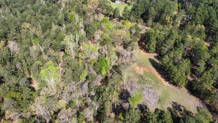 East Texas Land for Sale Lindale Smith County Texas - image 25