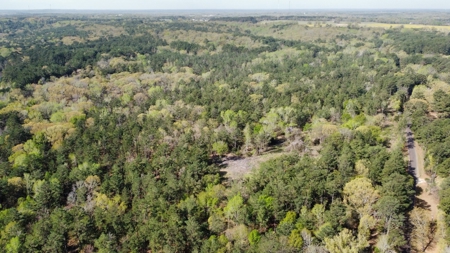 East Texas Land for Sale Lindale Smith County Texas - image 23