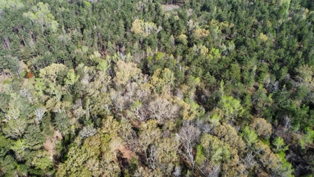 East Texas Land for Sale Lindale Smith County Texas - image 19