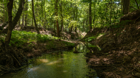 East Texas Land for Sale Lindale Smith County Texas - image 12