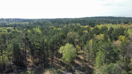East Texas Land for Sale Lindale Smith County Texas - image 25