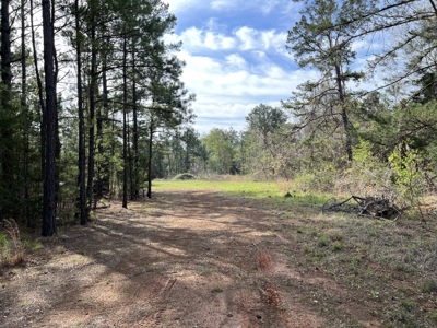 East Texas Land for Sale Lindale Smith County Texas - image 8