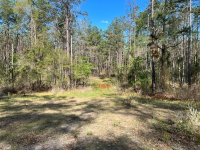 East Texas Land for Sale Lindale Smith County Texas - image 10
