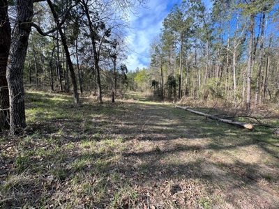 East Texas Land for Sale Lindale Smith County Texas - image 9