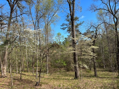 East Texas Land for Sale Lindale Smith County Texas - image 5