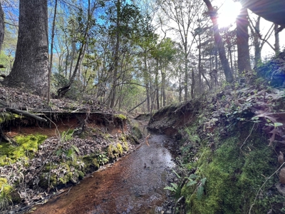 East Texas Land for Sale Lindale Smith County Texas - image 3