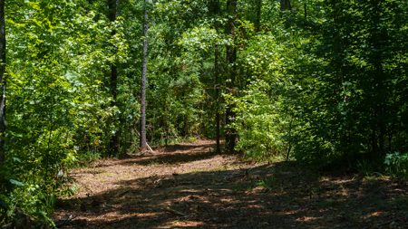 East Texas Land for Sale Lindale Smith County Texas - image 6