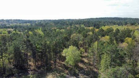 East Texas Land for Sale Lindale Smith County Texas - image 27