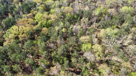 East Texas Land for Sale Lindale Smith County Texas - image 26
