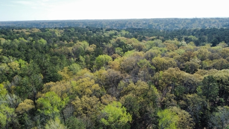 East Texas Land for Sale Lindale Smith County Texas - image 16