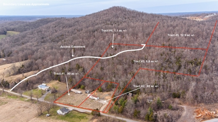 Absolute Auction - 5 Tracts in Clinton County, KY - image 1