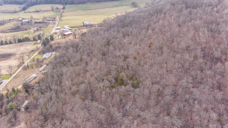 Absolute Auction - 5 Tracts in Clinton County, KY - image 14