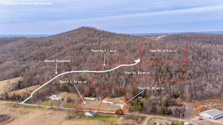 Absolute Auction - 5 Tracts in Clinton County, KY - image 8
