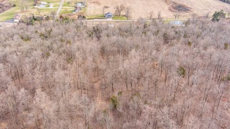 Absolute Auction - 5 Tracts in Clinton County, KY - image 12