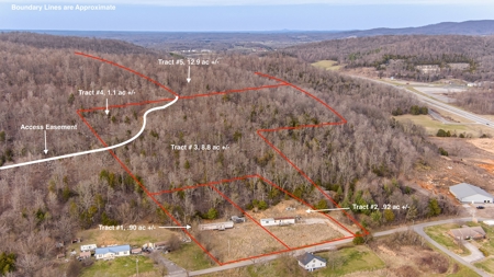 Absolute Auction - 5 Tracts in Clinton County, KY - image 6