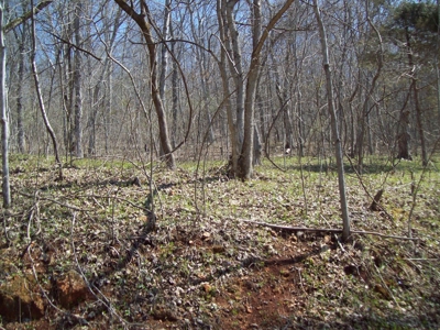Black River Retreat #2 Lots - image 1