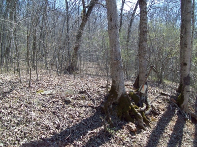 Black River Retreat #2 Lots - image 13