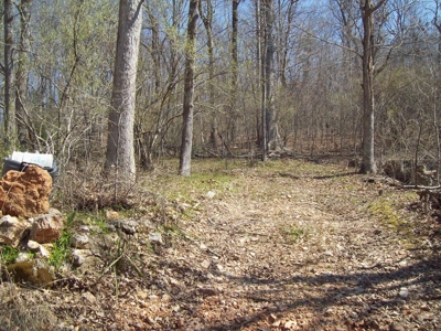Black River Retreat #2 Lots - image 12