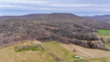 Land for Sale in Albany, KY - image 2