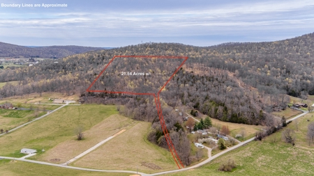 Land for Sale in Albany, KY - image 1