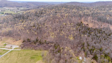 Land for Sale in Albany, KY - image 6