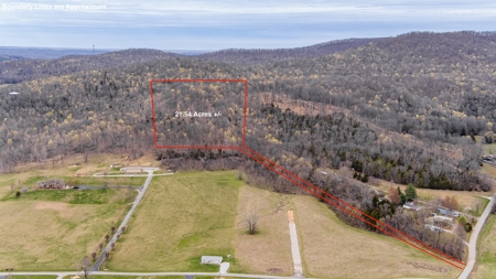 Land for Sale in Albany, KY - image 9