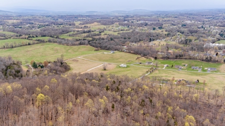 Land for Sale in Albany, KY - image 5