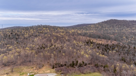 Land for Sale in Albany, KY - image 4