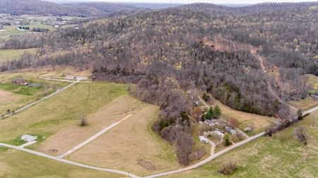 Land for Sale in Albany, KY - image 7