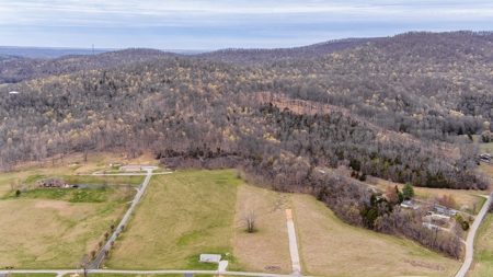 Land for Sale in Albany, KY - image 8